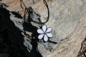 jewel flower white2 - historical glass