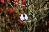 earrings pink with patina - historical glass