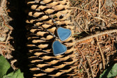 earrings hearts blue - historical glass