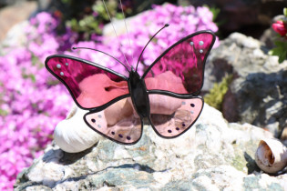 butterfly - historical glass