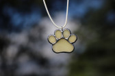 dog's paw - historical glass