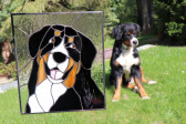 Bernese Mountain Dog - historical glass