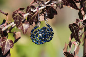earrings blue - historical glass