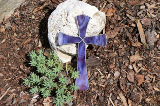 cross violet - historical glass