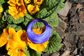 Jewelry of resin - historical glass
