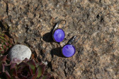 Jewelry of resin - historical glass