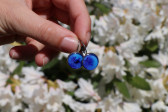 Jewelry of resin - historical glass