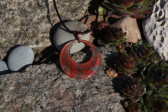 Jewelry of resin - historical glass