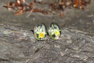 earrings - historical glass