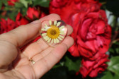 Jewelry of resin - historical glass