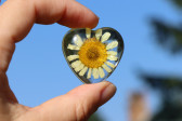 Jewelry of resin - historical glass