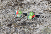 earrings - historical glass