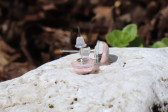 earrings - historical glass