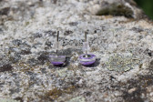 earrings - historical glass