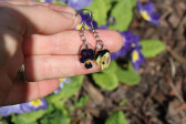 earrings - historical glass